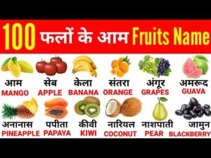 Read more about the article 100 FRUITS NAME IN HINDI AND ENGLISH