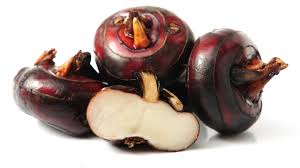 	
Chestnut