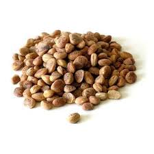 	
Cudpahnut