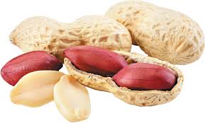 Peanut