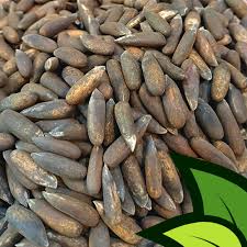 	
Pine nut
